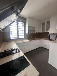 Elizabeth Heights (D9), Condominium #536138741